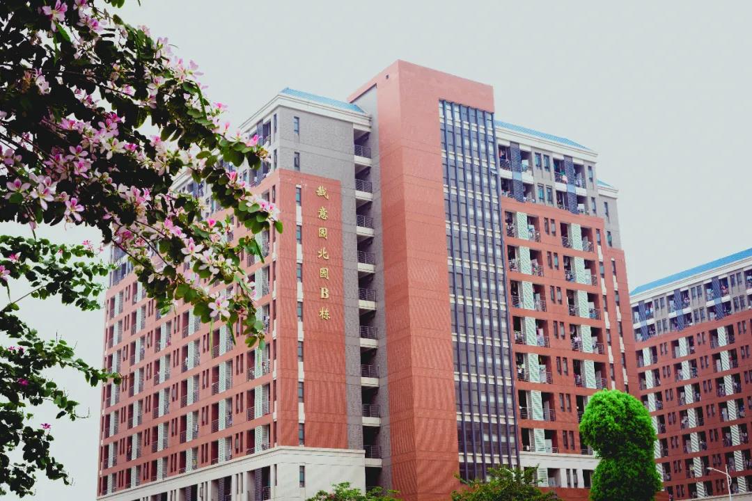 [羊城晚报]2020年选择中山大学新华学院的十大理由